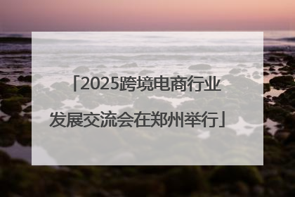 2025跨境电商行业发展交流会在郑州举行